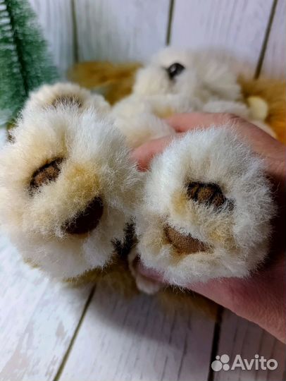 Собачка а стиле Тедди