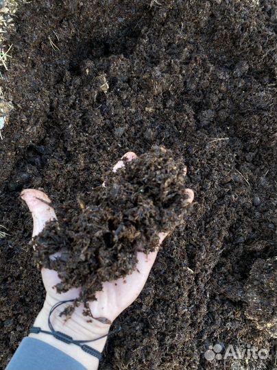 Конский навоз(перегной) с опилкой