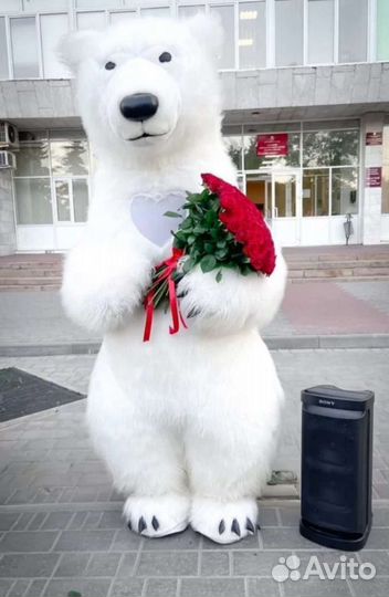 Белый мишка поздравление