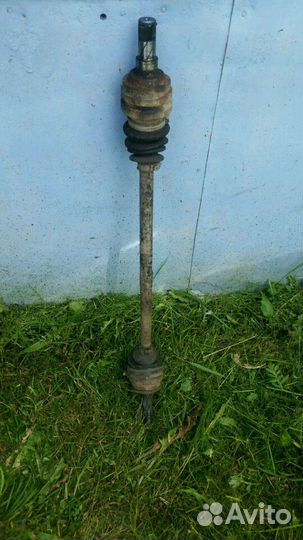 Шрус деу нексия