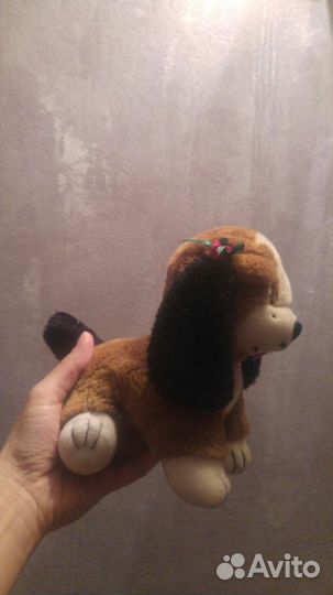 Маленькая собачка