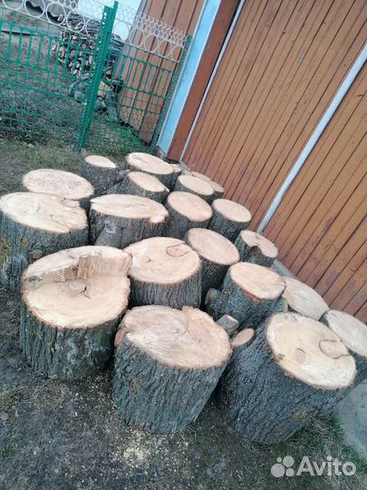 Липовые пеньки