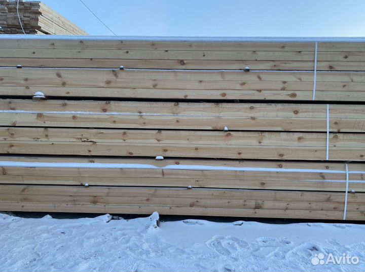 Обрезной лес