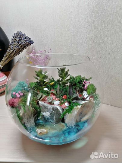 Флорариум шар, подарок