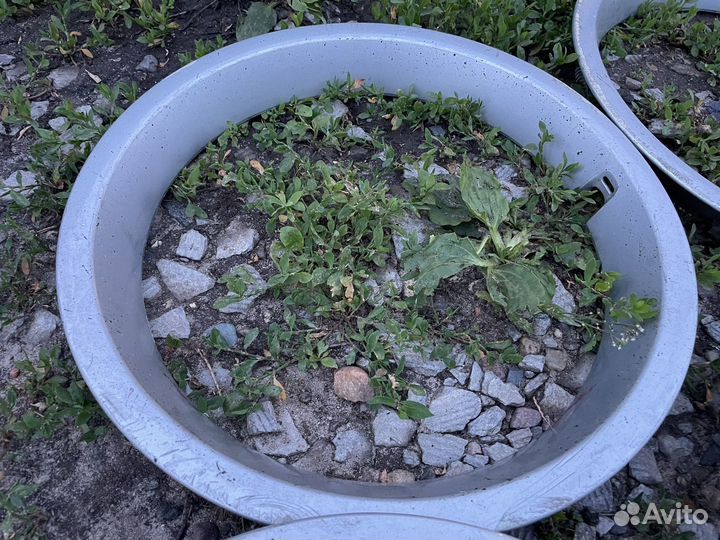 Колпаки Volkswagen