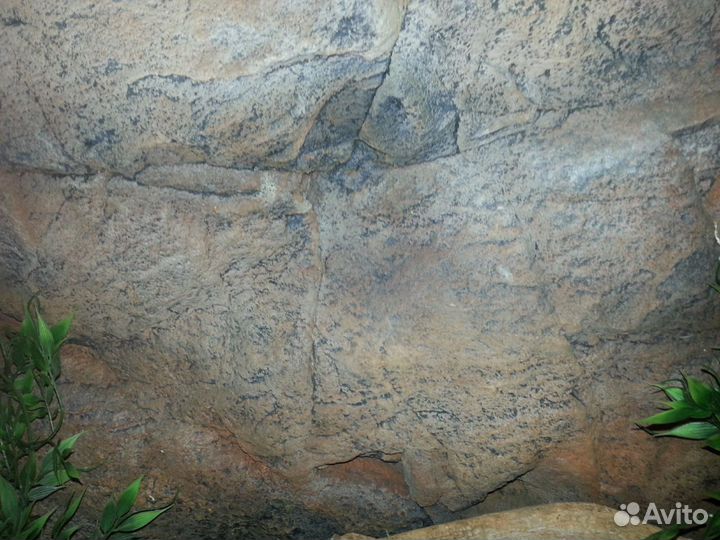 Акватеррариум с объемным задним фоном 235 литров