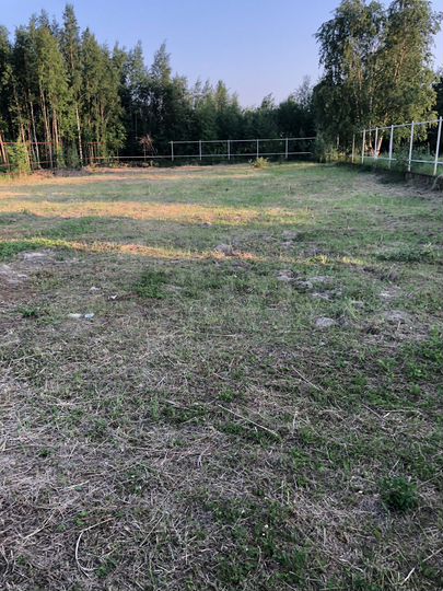 Участок 21,7 сот. (СНТ, ДНП)