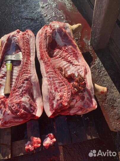 Мясо, свинина домашняя