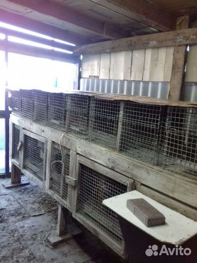 Клетки для кроликов