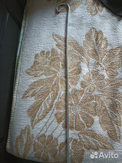 Трость саиди