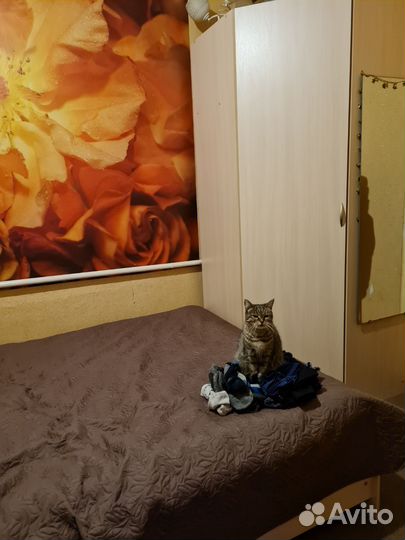 Угловой шкаф 9090