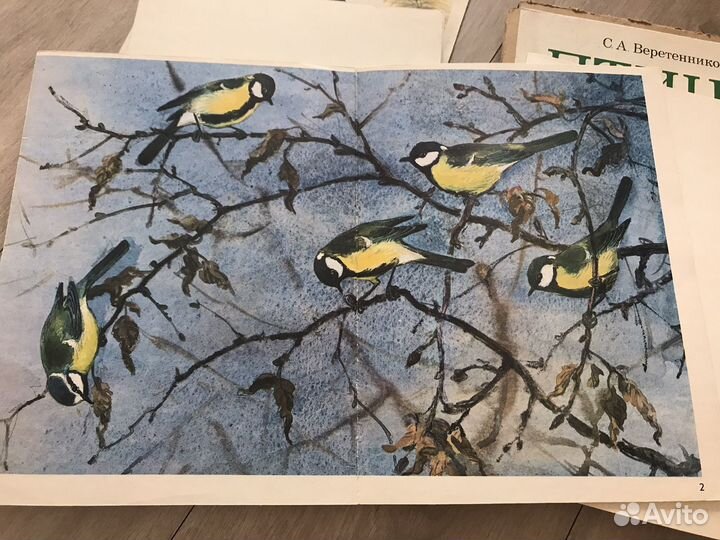 Птицы С. А. Веретенникова