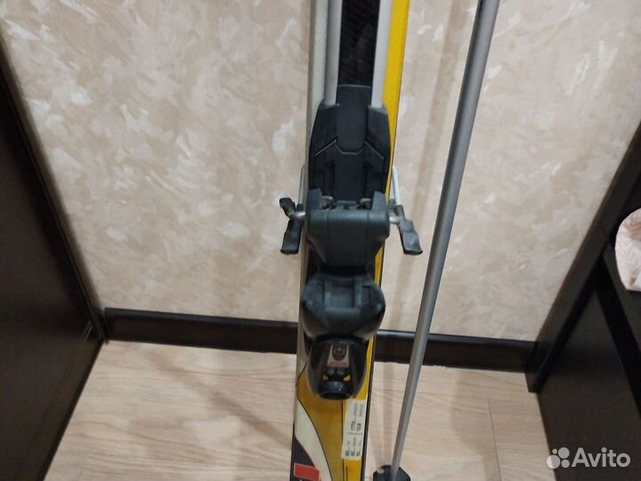 Горные лыжи