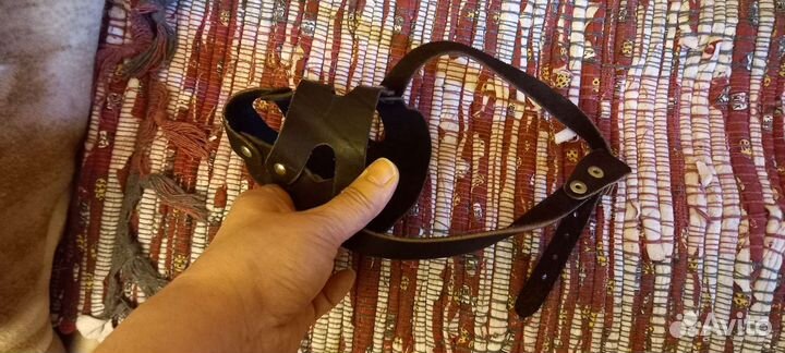 Амуниция для собак