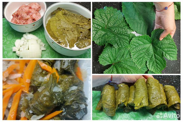 Саженцы винограда. Сорт Амурский и другие. Черенки