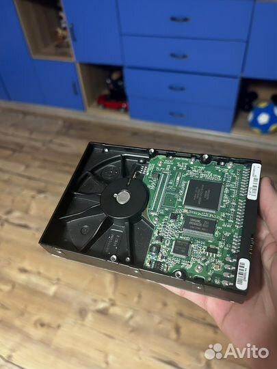 Жесткий диск maxtor