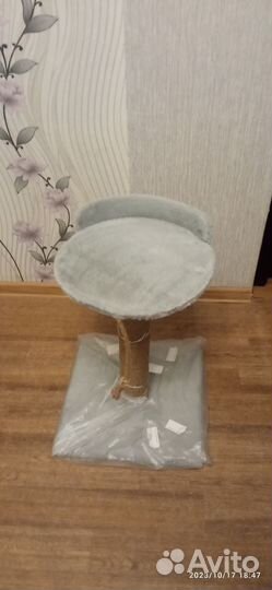 Когтеточка для кошки