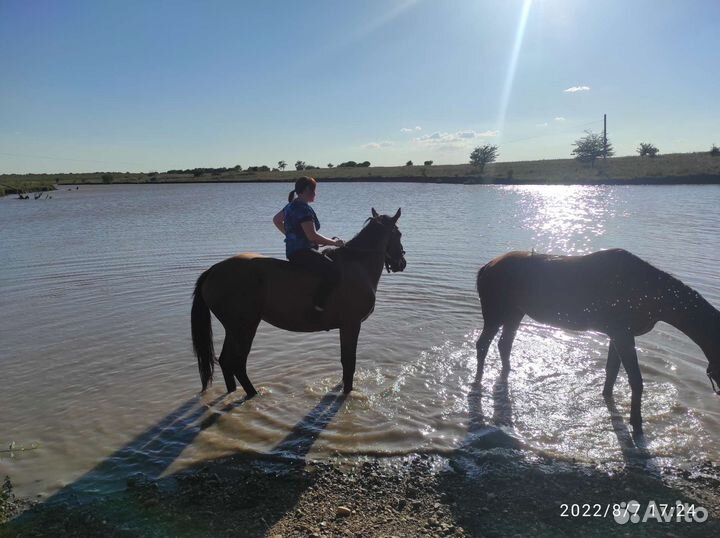 Прокат. Постой. Аренда. Фотографии