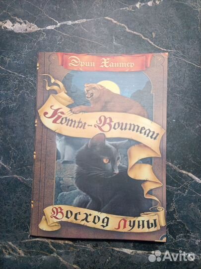 Коты воители второй цикл