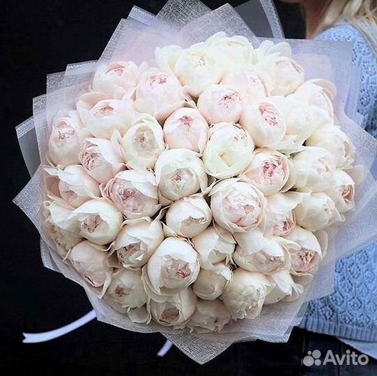 Пионы Букет пионов