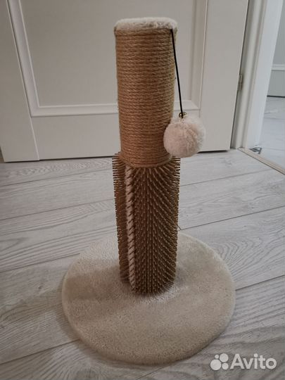 Когтеточка для котят