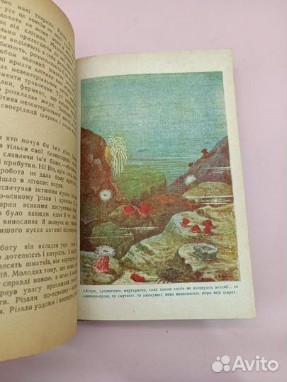 Книга Плавiльщiков 