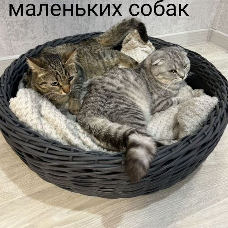 Лежанка для кошек и собак