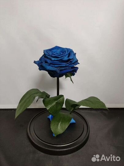 Роза в колбе оптом