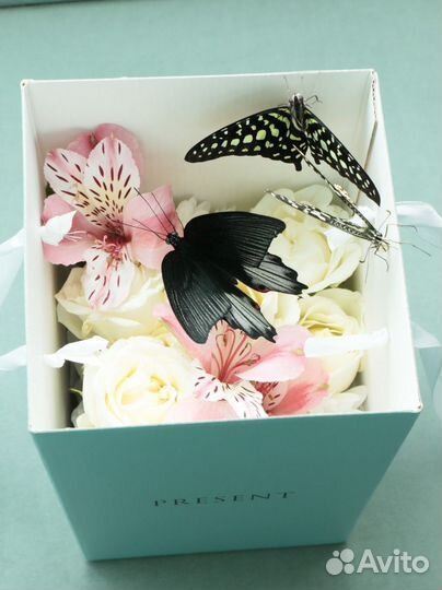 Свадебные букеты с живыми бабочками