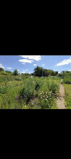 Дача 12 м² на участке 6 сот.