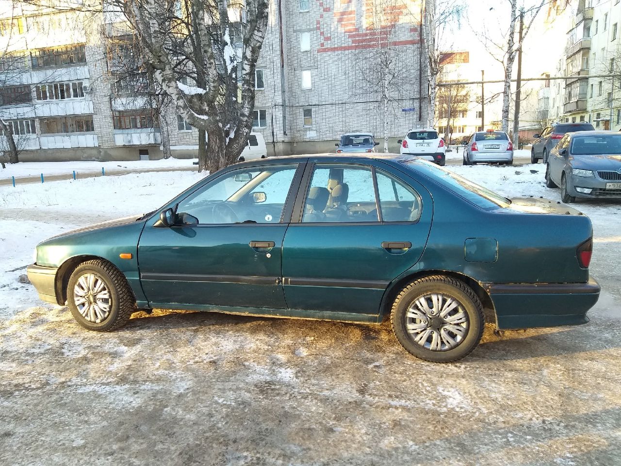 Nissan Primera: фото владельца