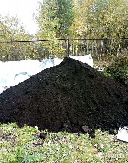 Чернозем Растительный