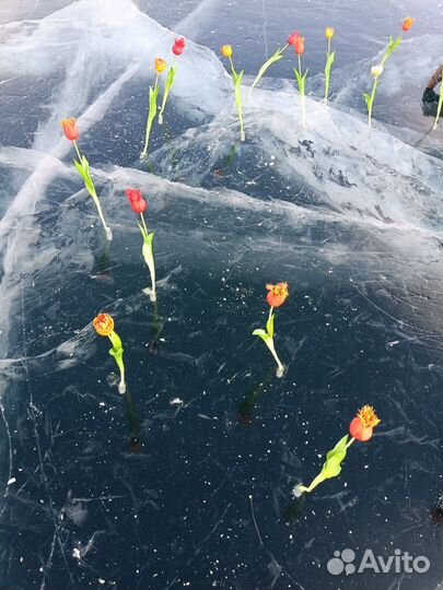 Гид - экскурсовод по Иркутску и Байкалу