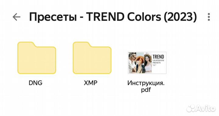 Пресеты Павел Возмищев Trend