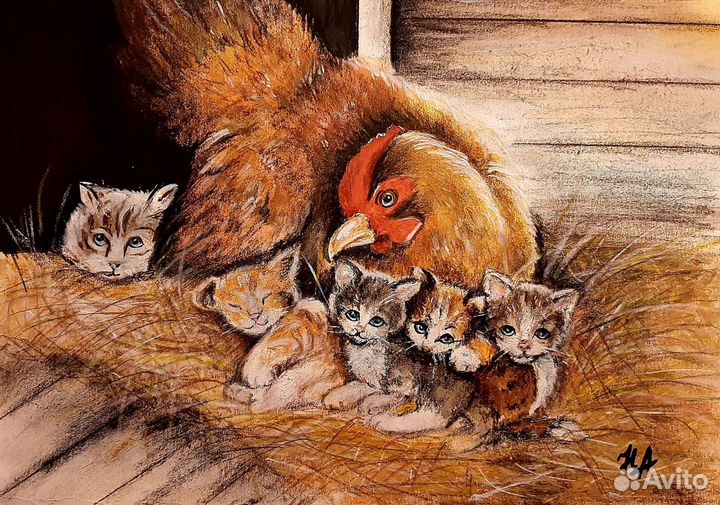 Котятки