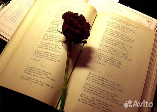 Поздравление на любое торжество(в стихах) на заказ