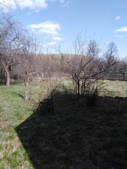 Дом 48,6 м² на участке 37 сот.