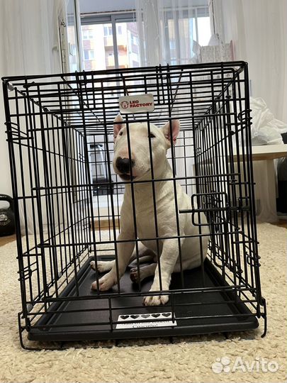 Клетка для животных идеал