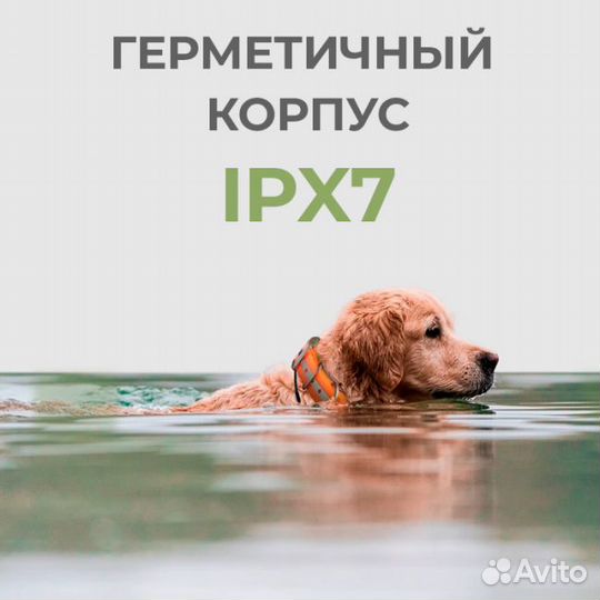 Навигационный комплекс для собак ArtElv