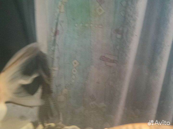 Лунный грунт