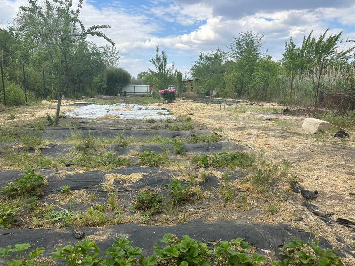 Участок 8 сот. (СНТ, ДНП)