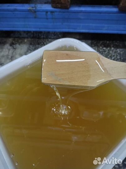 Липовый мёд Свежий Качка 2023 год