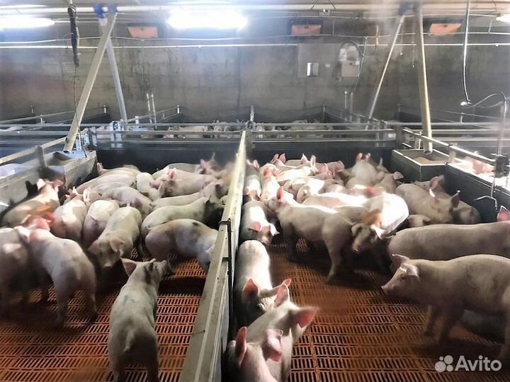 Рабочий на производство с обучением