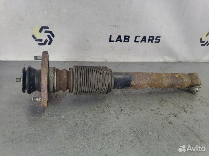 Амортизатор подвески задний Bmw X5 E53 M54 306S3