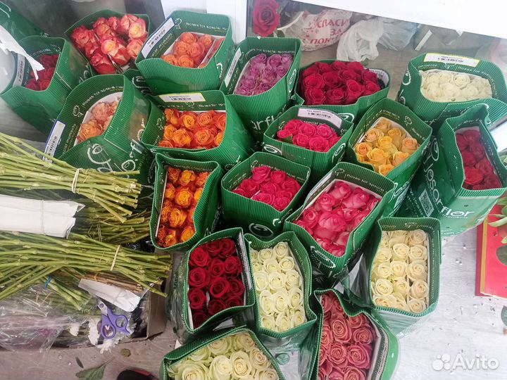 Роза и гипсофила в Томске с доставкой