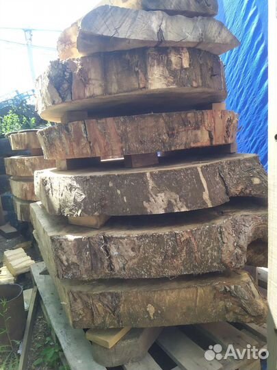 Слэб американский клён