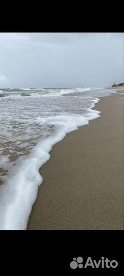 Тур в Калининград до 4-х гостей 28-30 августа