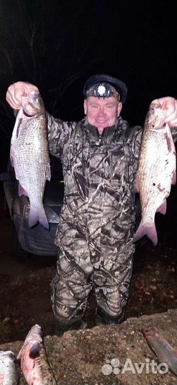 Свежая рыба, омуль, сырок, щука, налим, и