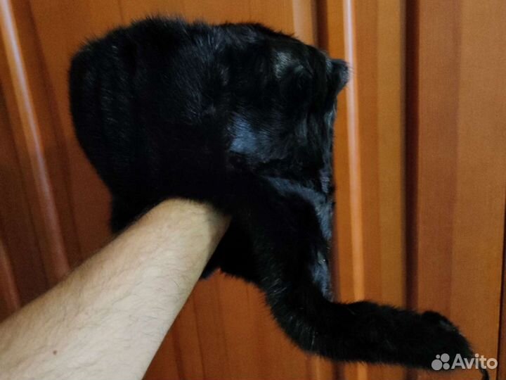 Шапка ушанка норка56-58 р