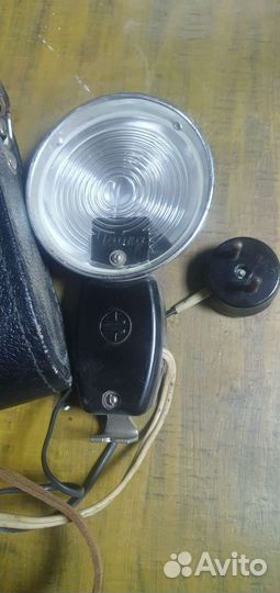 Фотовспышка чайка